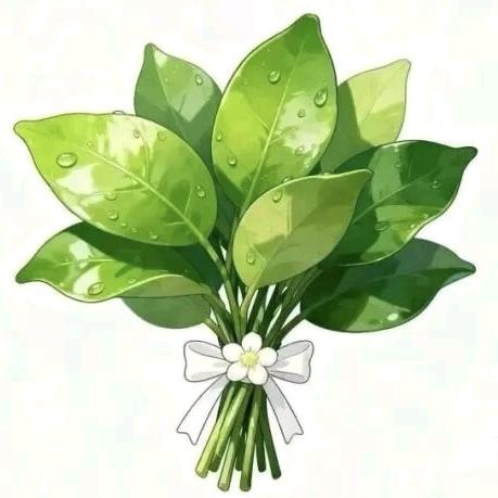 燕子