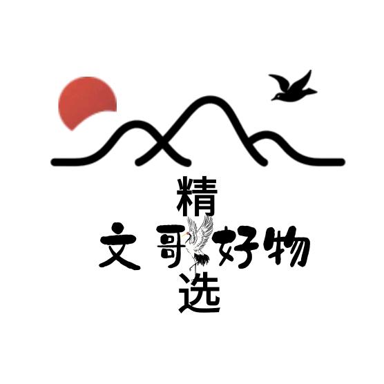 文哥好物精选
