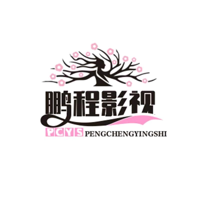 鹏程影视