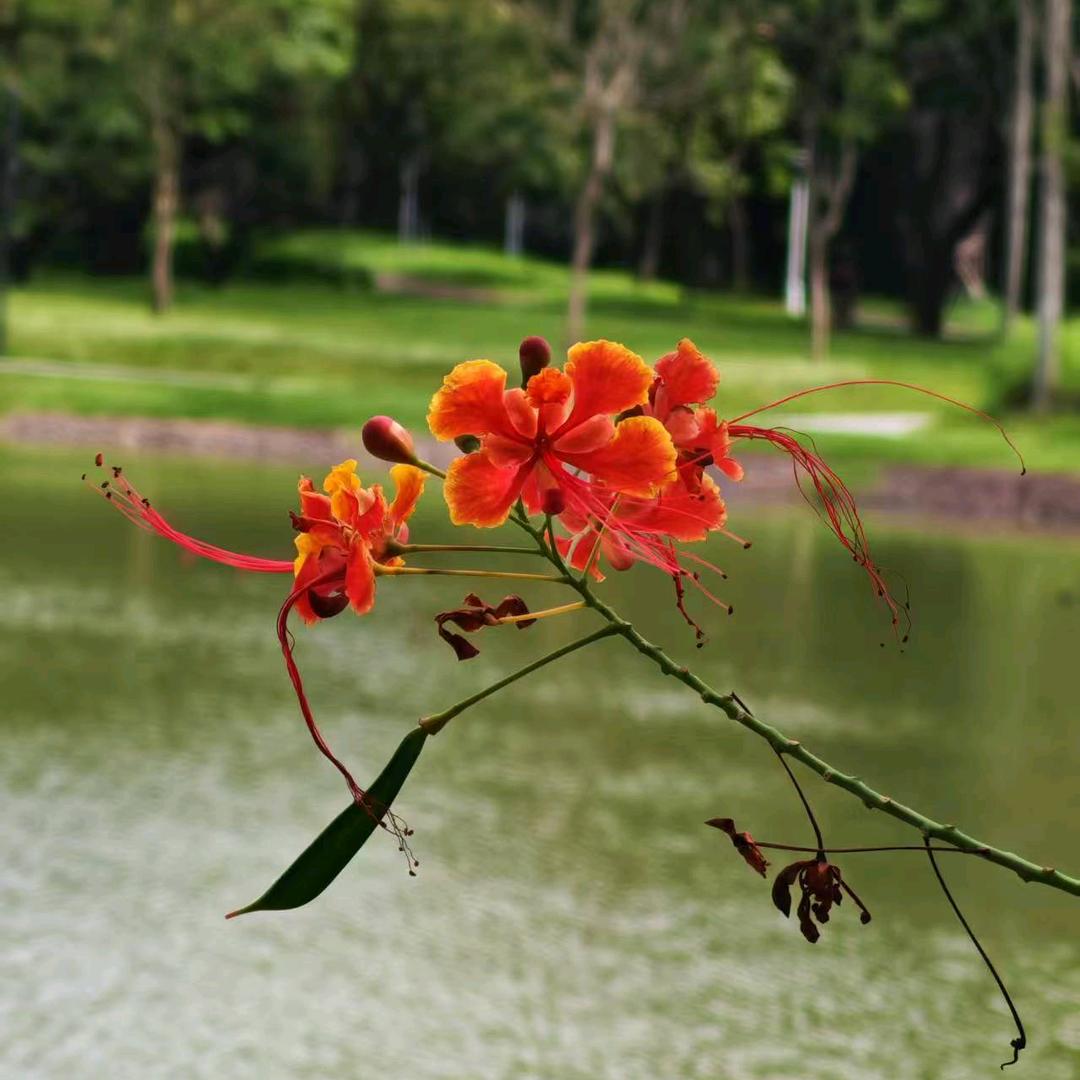 独一无二的世界