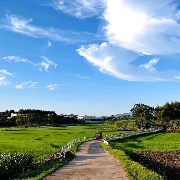 岚瑞汽车销售有限公司