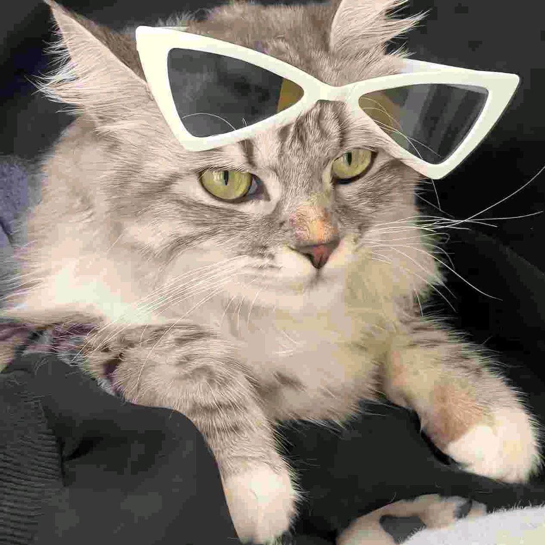 ༀ༽༼ༀ༼༽ༀༀ