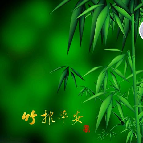 🌾紫竹