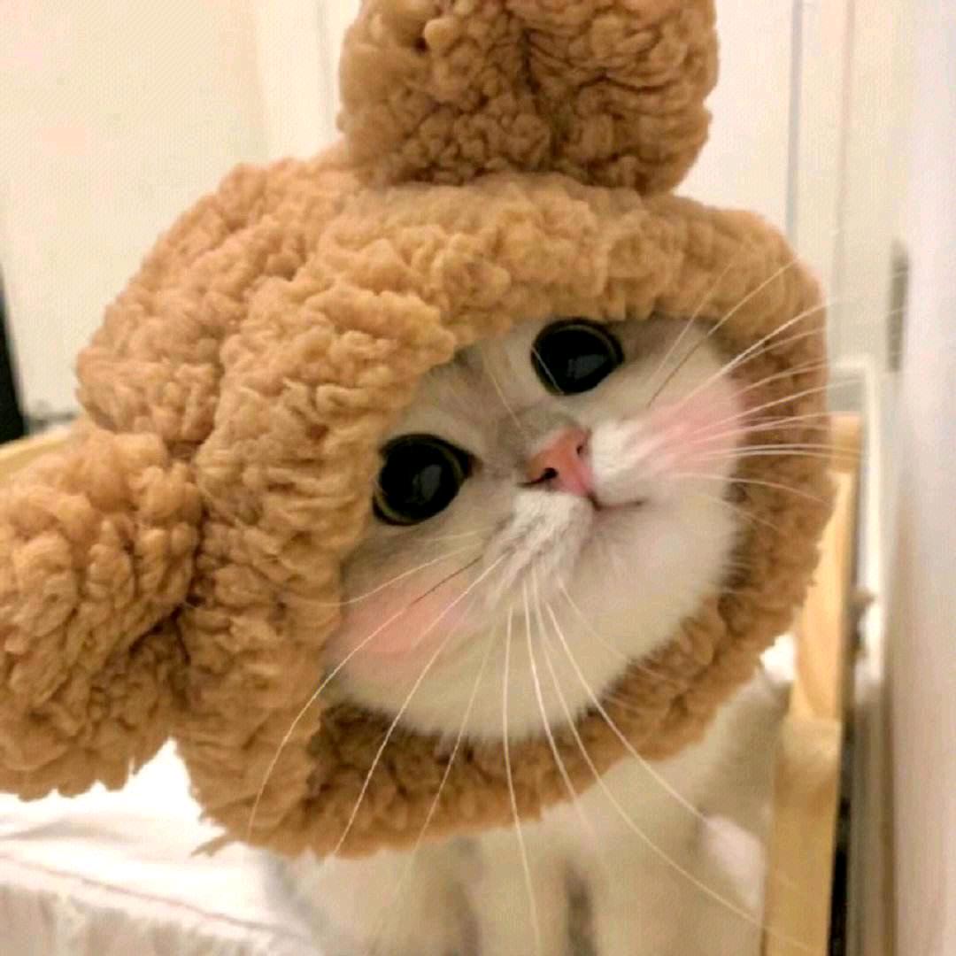 永恒的微笑