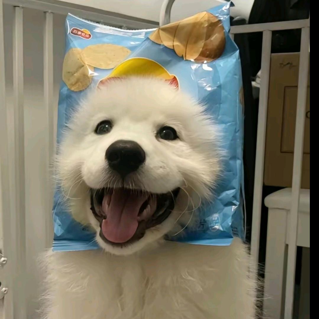 第五个季节