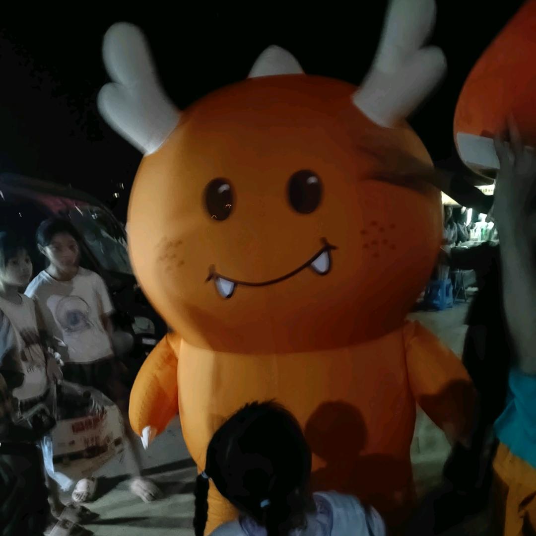 🐲《麻阳传统龙舟🐉欣赏者》