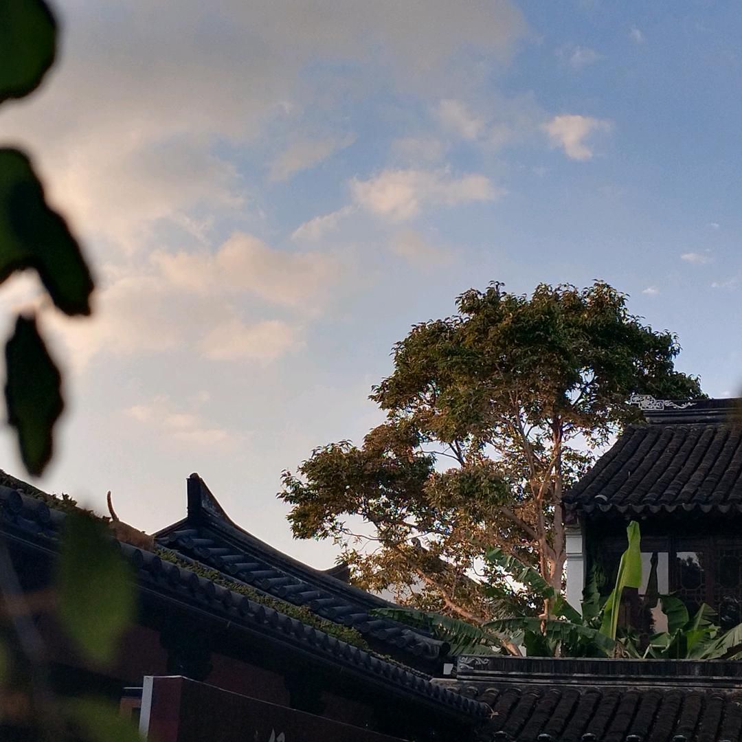 一泽呀