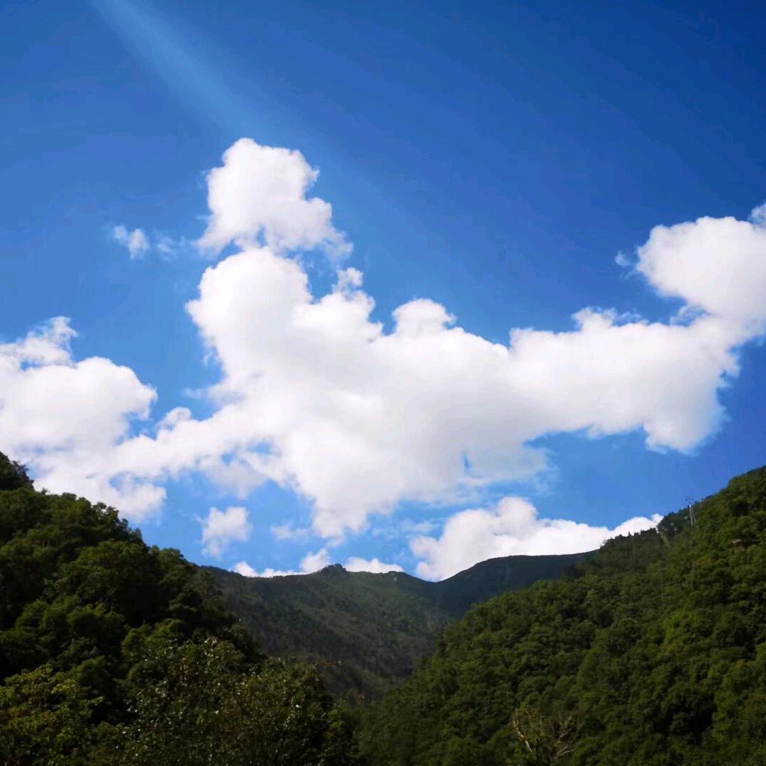 后宫•《甄嬛传》