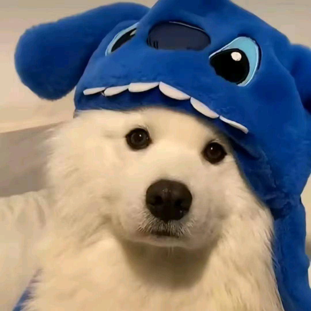 小喬.
