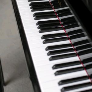 生活之光（默默弹琴的爸爸热心市民）