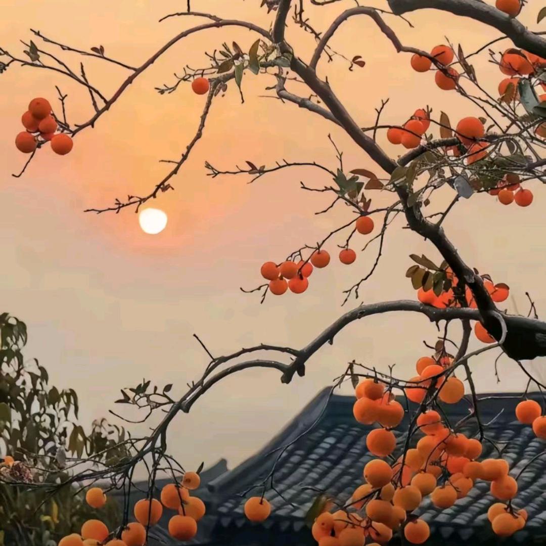 长河～