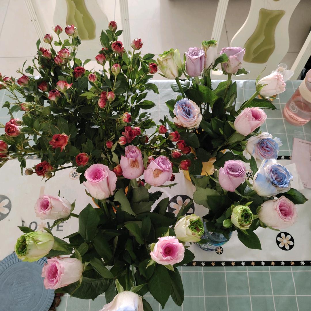 晓玲（刘幺妹团队）万州龙都店