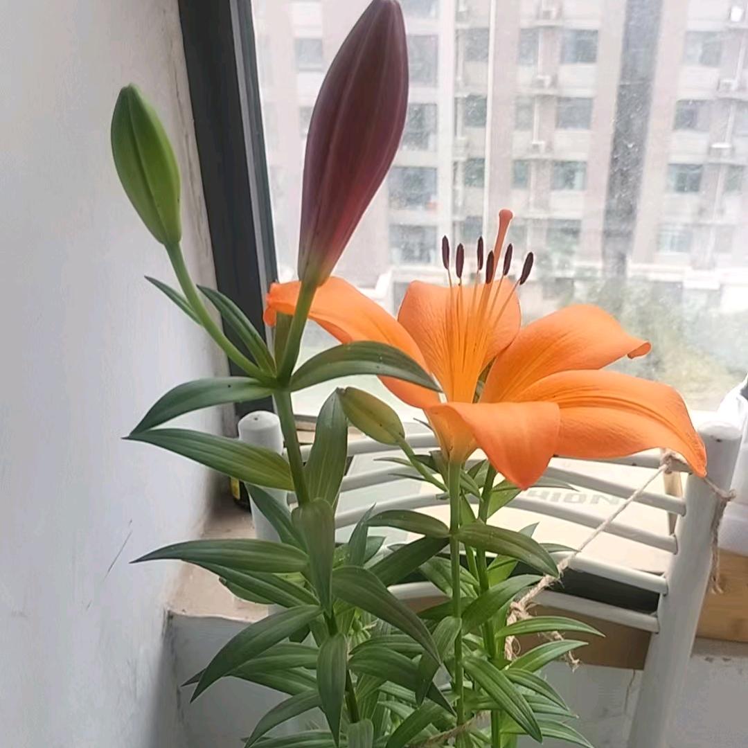 余生勿扰