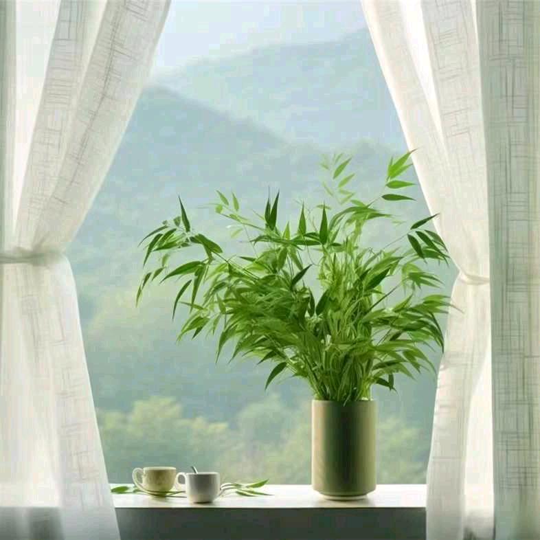 月旋