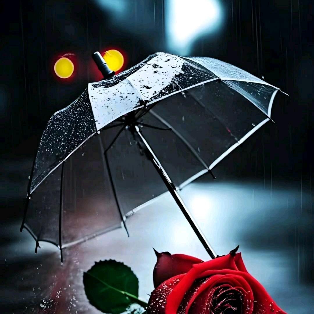 ঞོ画骨成沙꧔ꦿ°ꦿ²º᭄