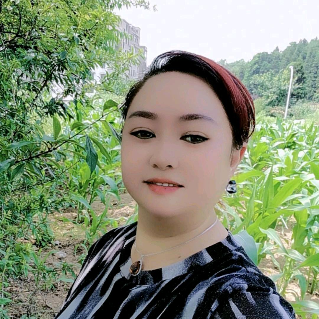 郑香香