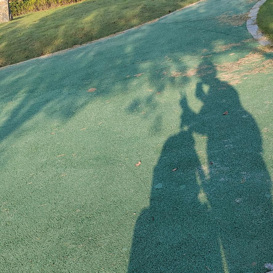 真想踹瘸子那条好腿