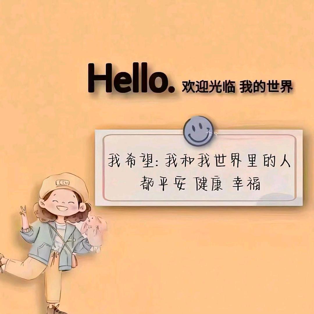 猫猫好物分享（好物在橱窗）