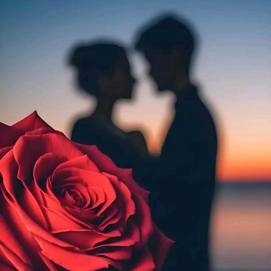 ꧁挥手画夕阳꧂