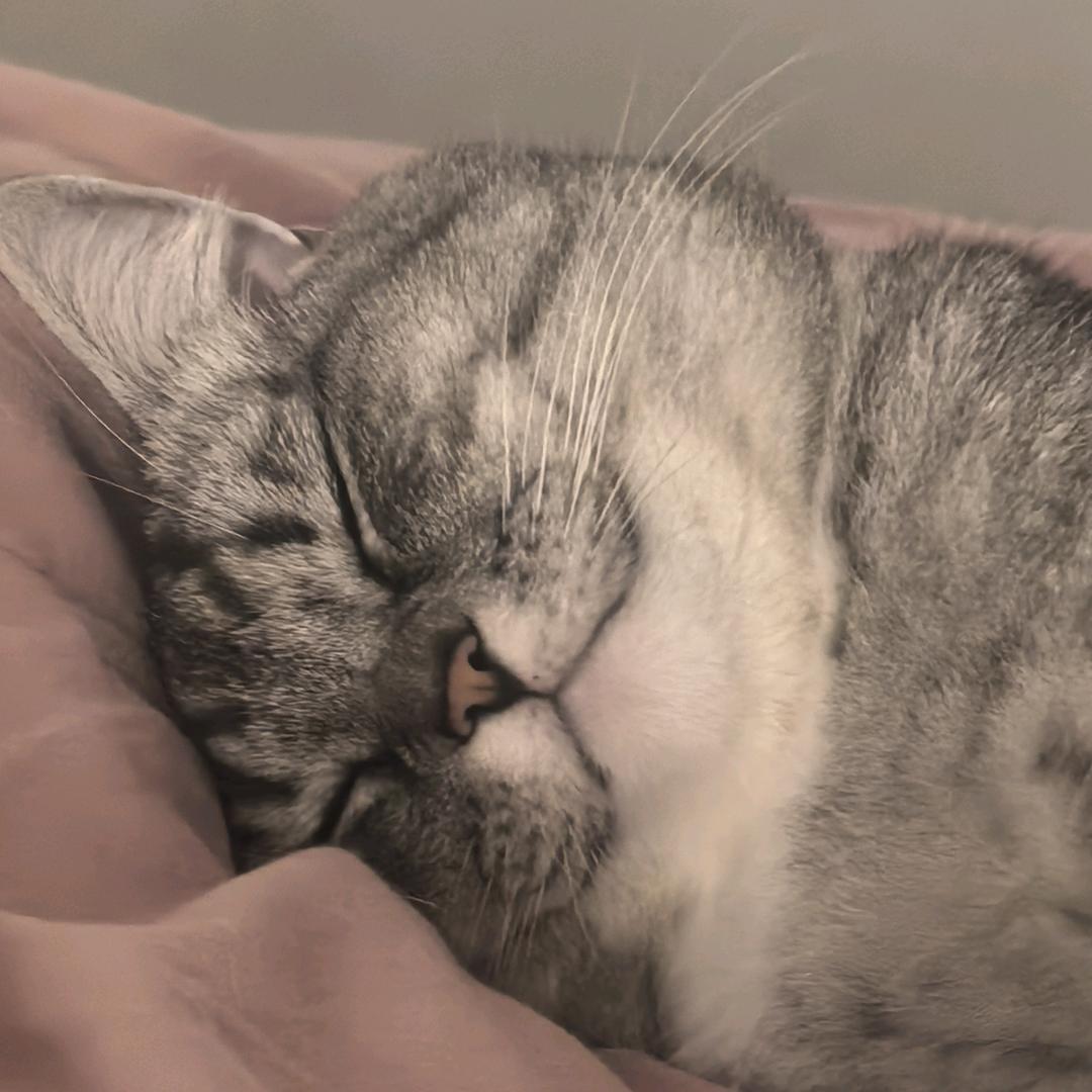 带着可樂去海边