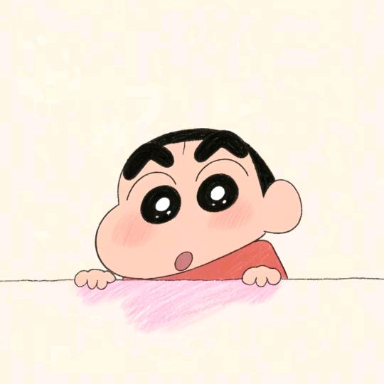 一只小杨百宝箱