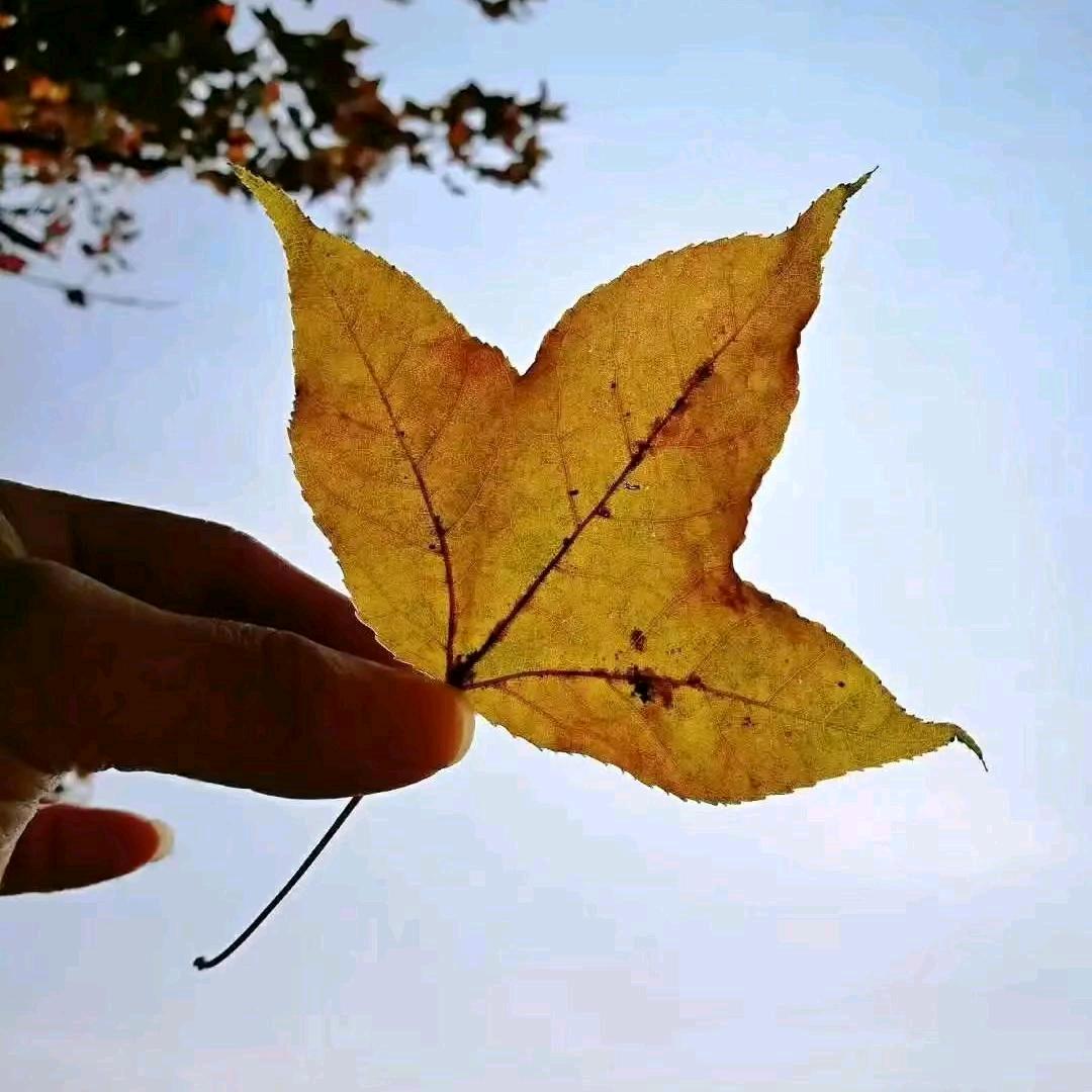 苦中作乐