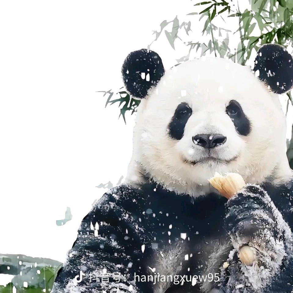 马踏东京赏樱花（退网版）