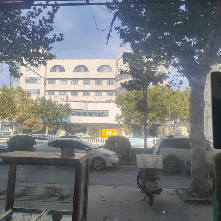 情为何物