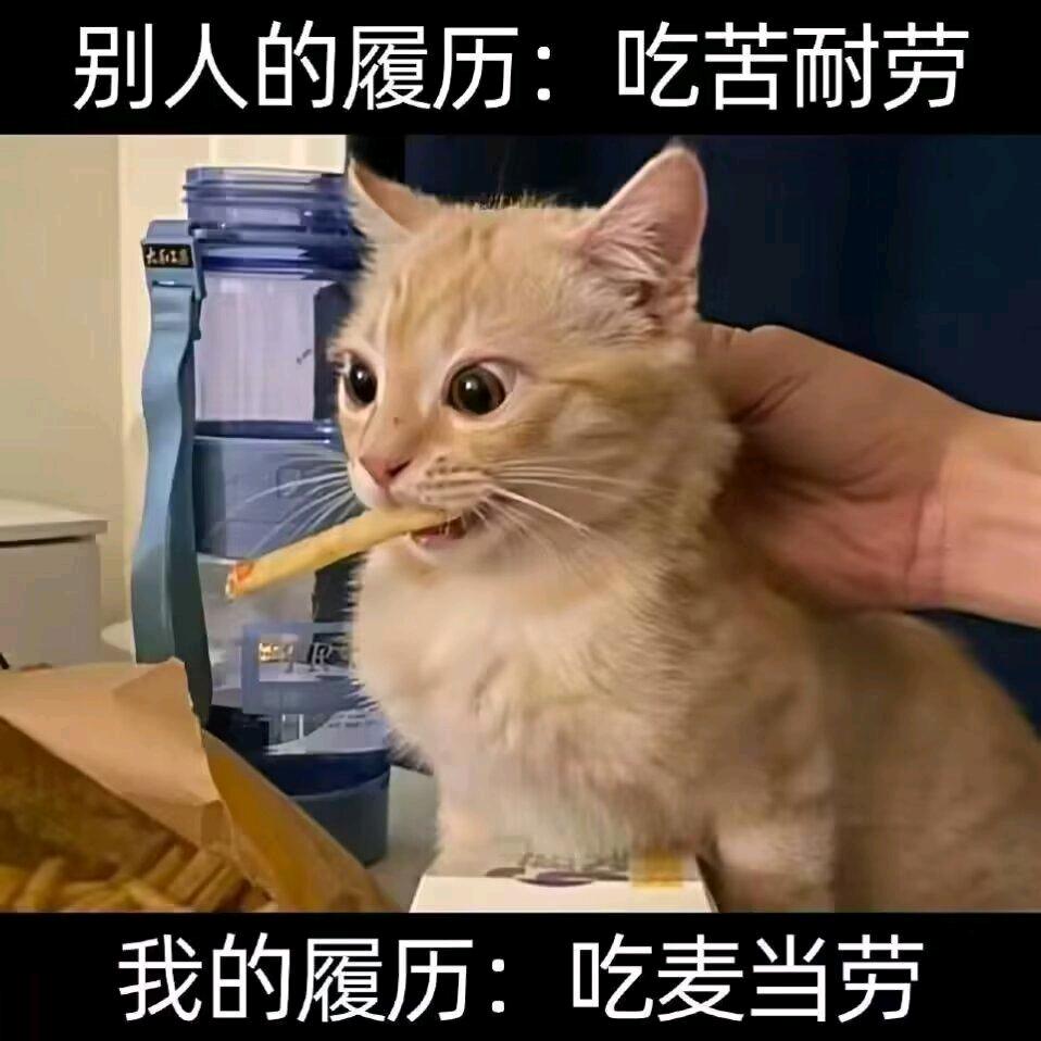 股民老张和小张