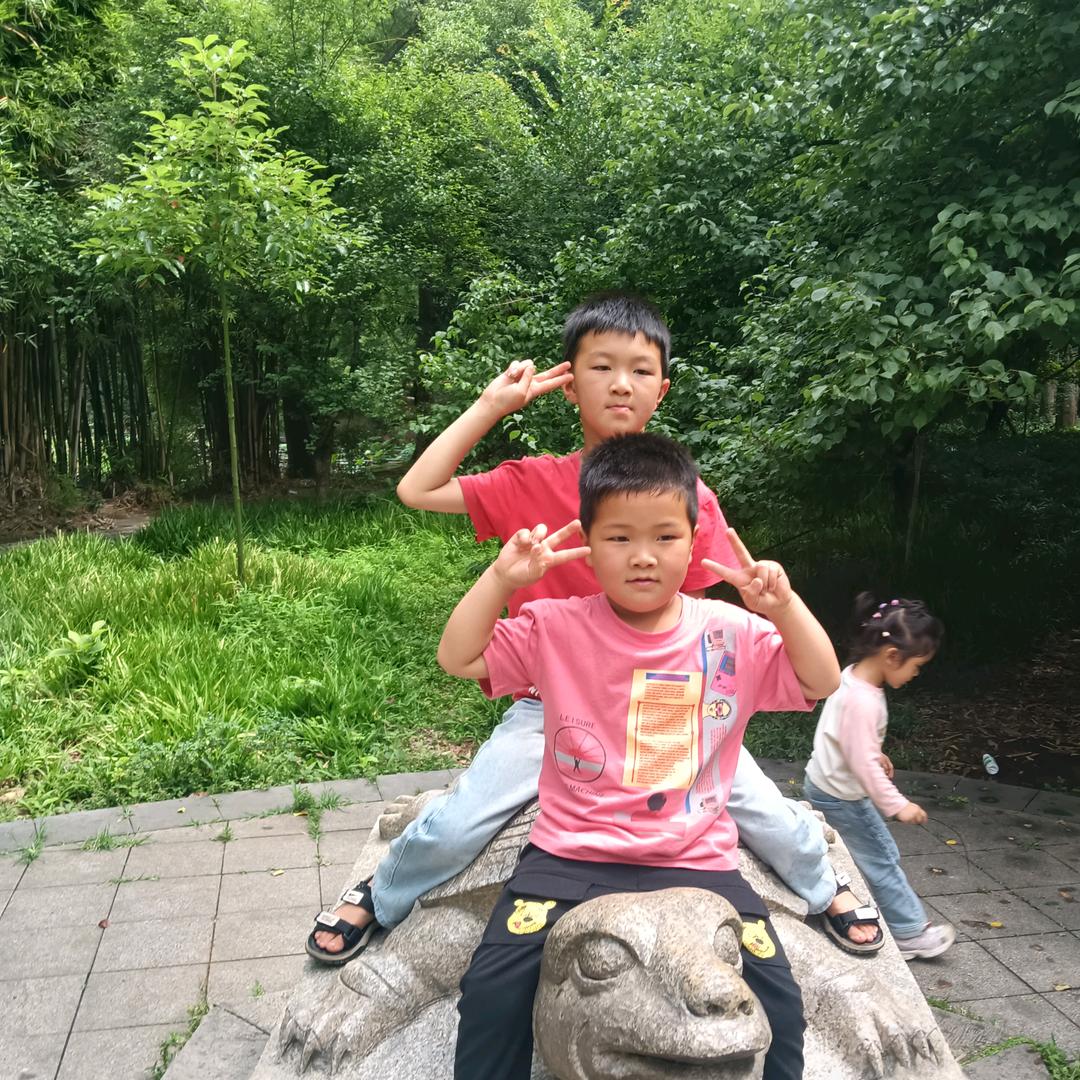 专业钢架棚