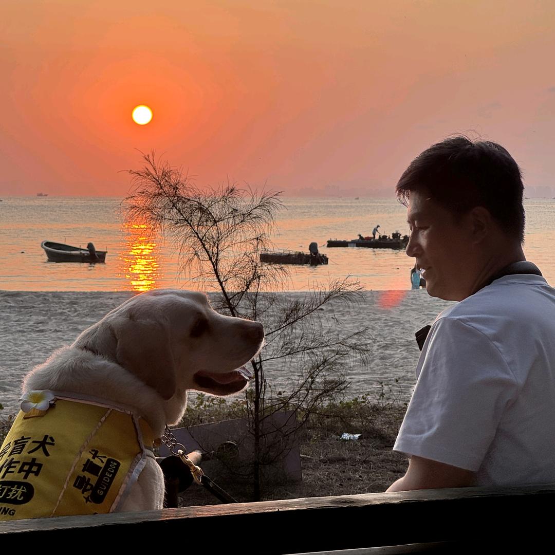 宝哥和他的导盲犬@抖音