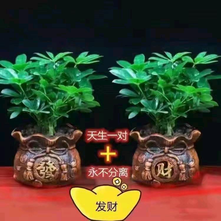 今生有缘