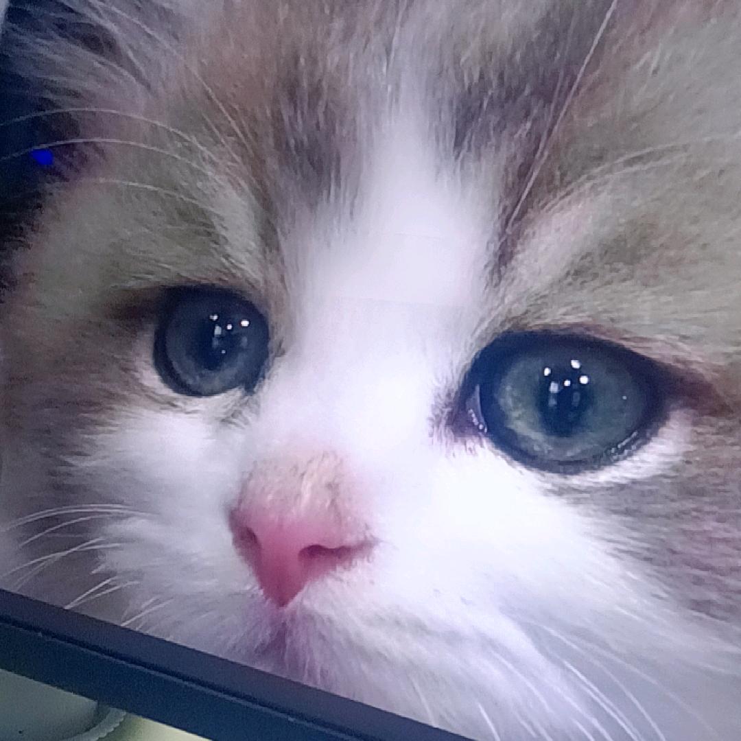 月光宝盒