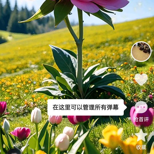 随❤️所欲