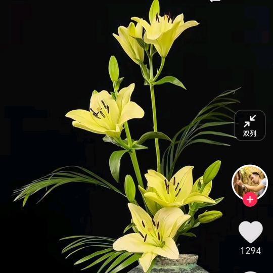 欣欣向荣💍