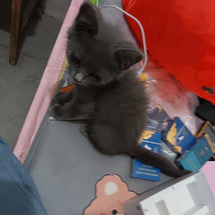 千 ✔  纸 ☞贺☜