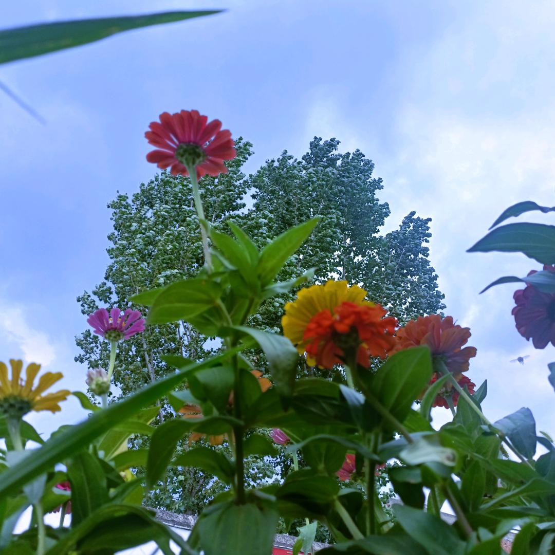 💞 L໊ₒ吖:ᨶ႒ᩚ頭ᵥₑᩚঞ 💞