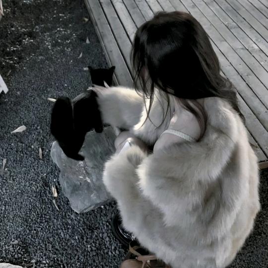 喵了个咪 ̑̑ᗦ↞◃