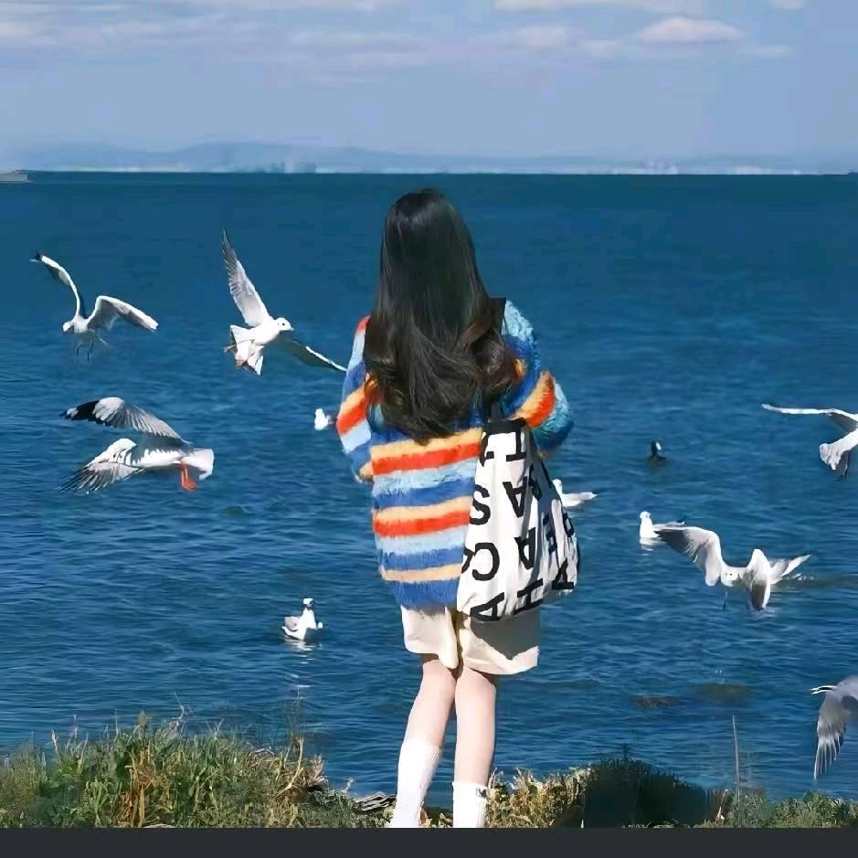 喜欢太阳的向日葵