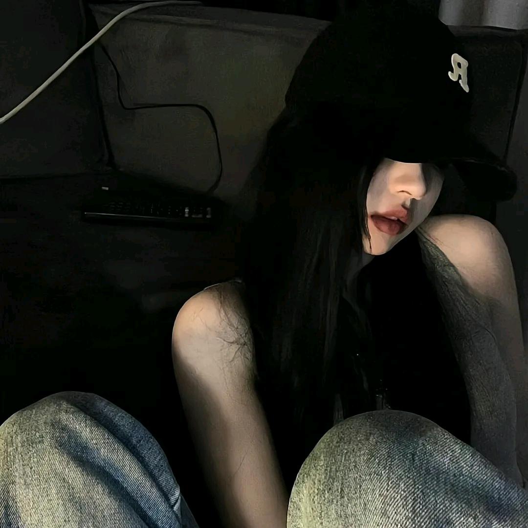 懒洋洋的猫🪴