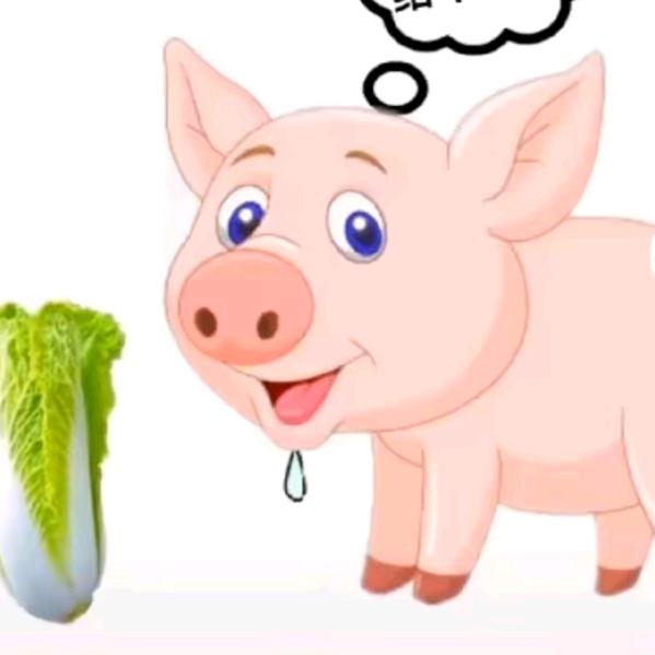 找颗好白菜