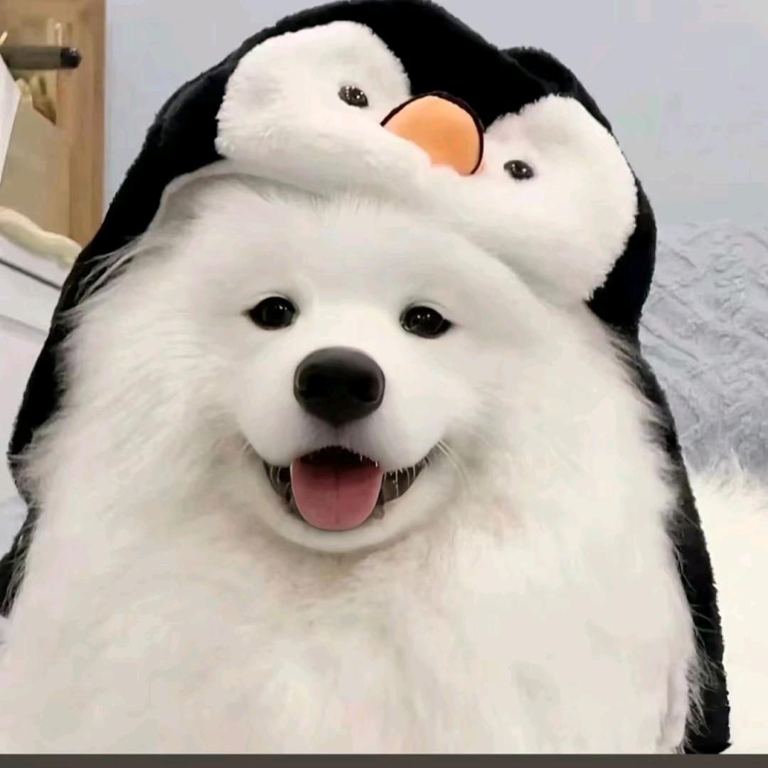 不许熬夜✔