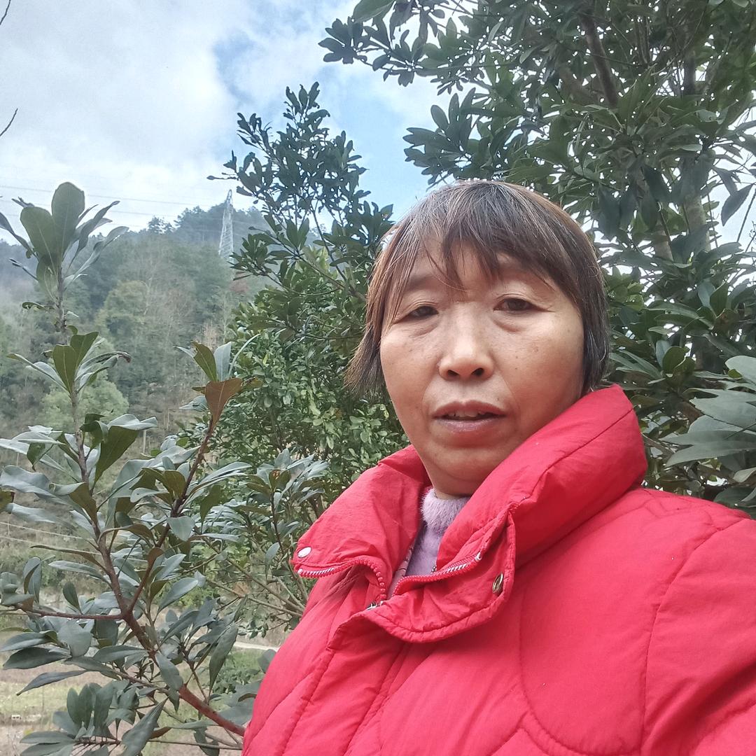 刘幺妹