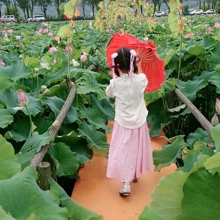 🦋ꦿ໊余生᭄🕊随心᭄ꦿ陆小仙