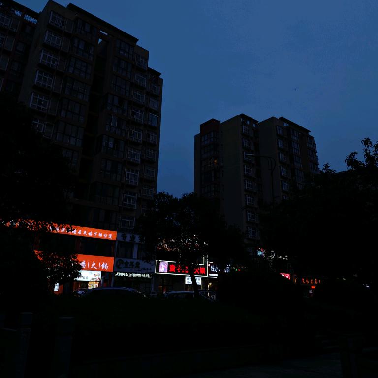 不想吃虾