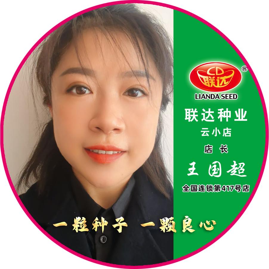 联达种业云小店-王国超