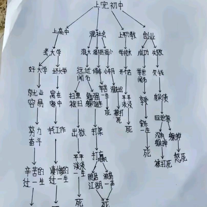 鑫鑫