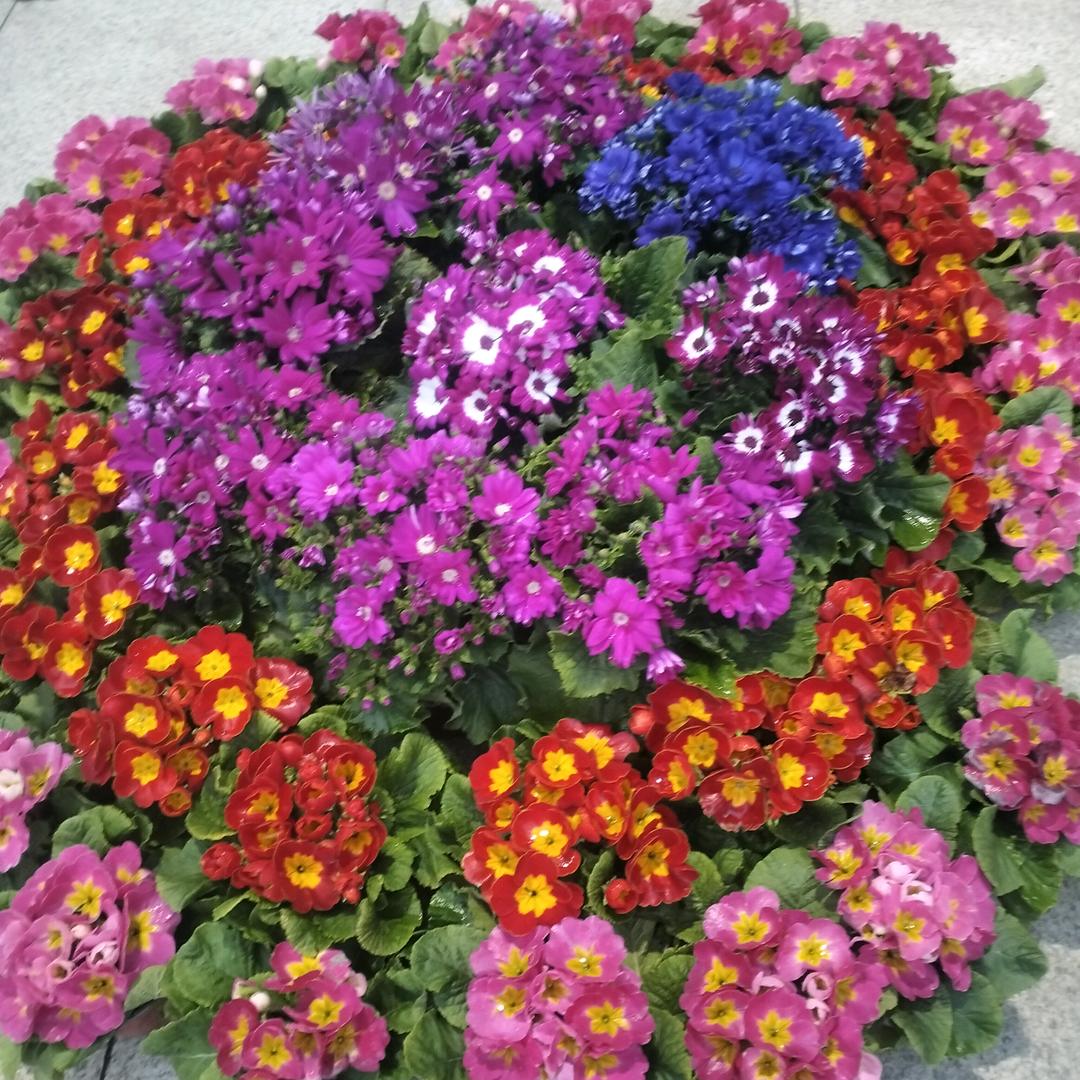 忘掉过去展望未来