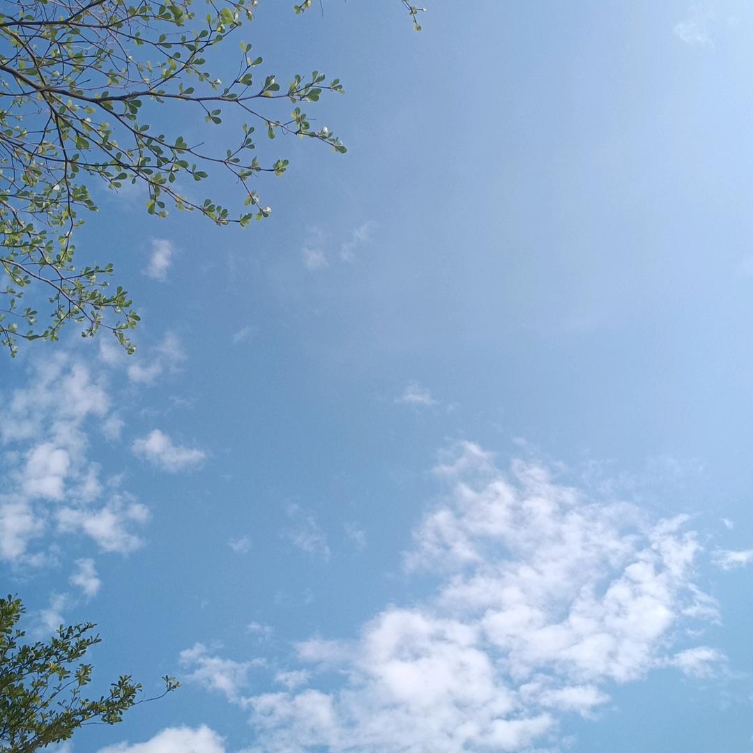 婷婷阿姨