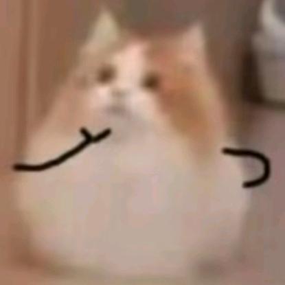 ✨星星灯